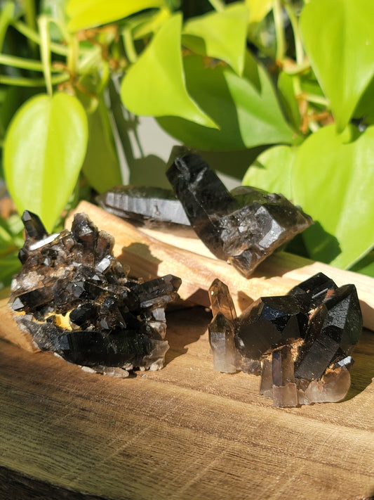 Smoky Quartz Clusters for Grounding Protection and Energy Clearing