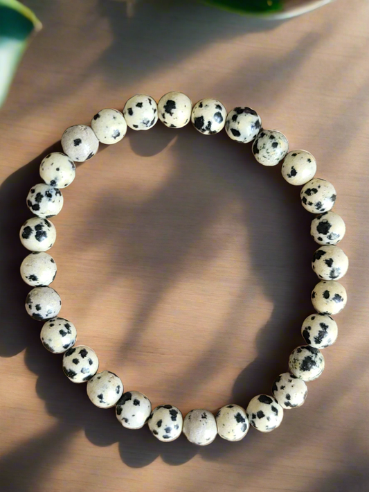 Dalmatian Jasper 6mm Beaded Bracelet: Playful Energy and Grounding Protection