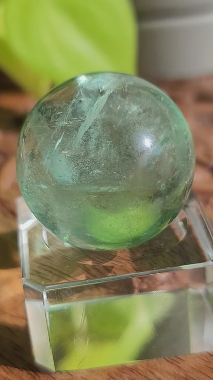 Rainbow Green Fluorite Sphere: Spectrum of Healing Light and Clarity