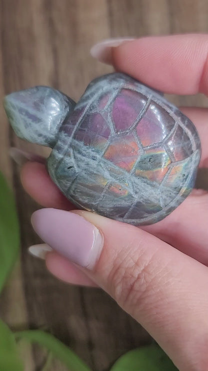 High Flash Labradorite Turtle Carving: Mystical Protection and Inner Strength