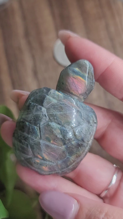 High Flash Labradorite Turtle Carving: Mystical Protection and Inner Strength