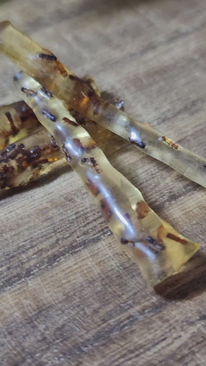 Baltic Amber with Insects – Ancient Wisdom, Protection & Evolution Energy