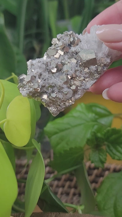 Pyrite Cube in Quartz Matrix Specimen for Abundance Manifestation and Energetic Strength