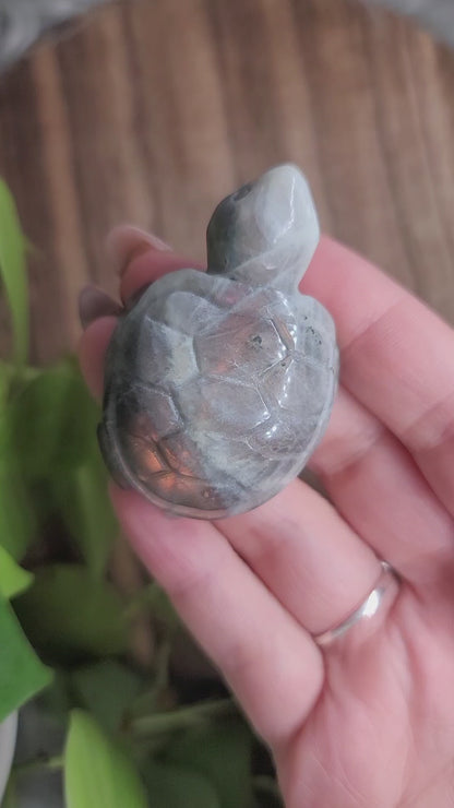 High Flash Labradorite Turtle Carving: Mystical Protection and Inner Strength