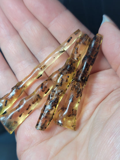 Baltic Amber with Insects – Ancient Wisdom, Protection & Evolution Energy