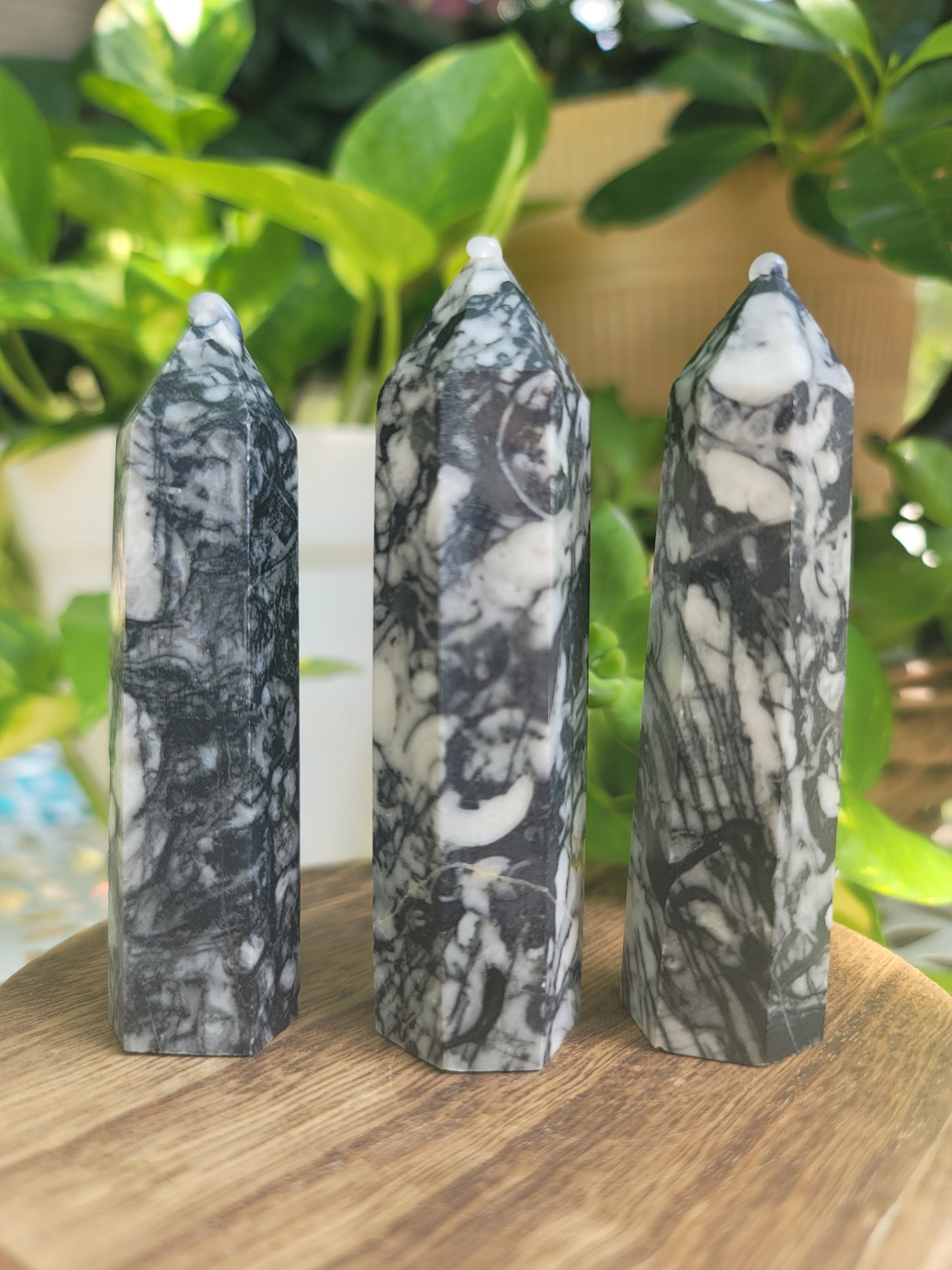 Orthoceras Tower for Ancient Wisdom Grounding and Past-Life Energy