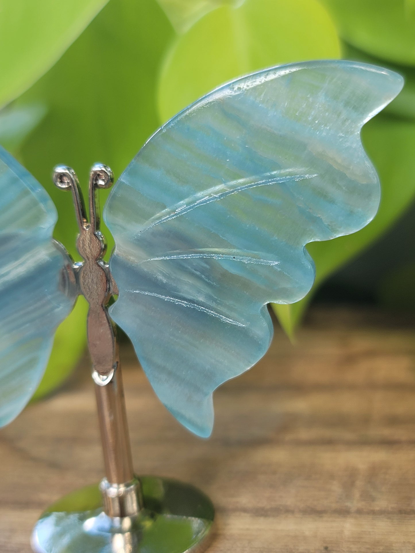 Butterfly Wing Crystal Sculpture 2" on Stand for Transformation and Lightness