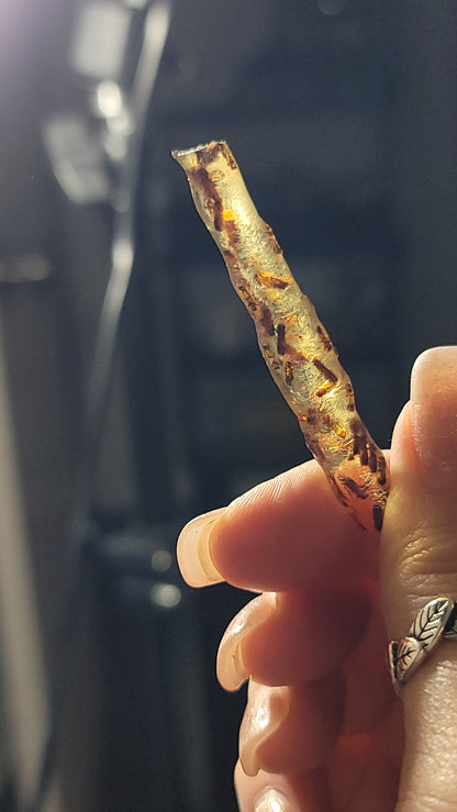 Baltic Amber with Insects – Ancient Wisdom, Protection & Evolution Energy