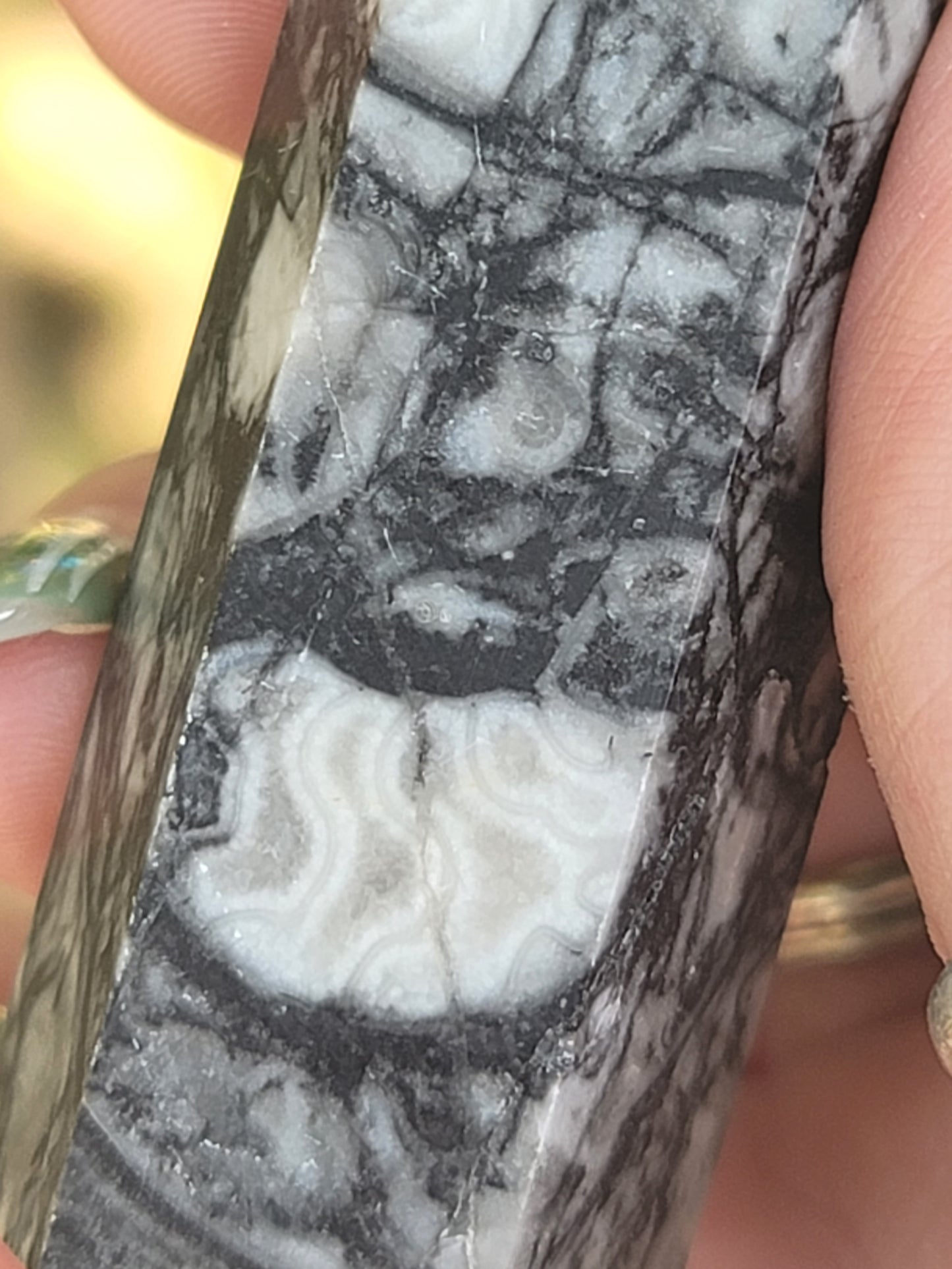 Orthoceras Tower for Ancient Wisdom Grounding and Past-Life Energy
