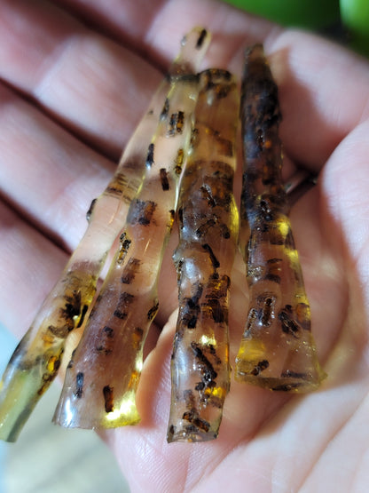 Baltic Amber with Insects – Ancient Wisdom, Protection & Evolution Energy