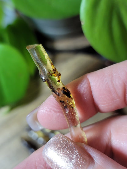 Baltic Amber with Insects – Ancient Wisdom, Protection & Evolution Energy